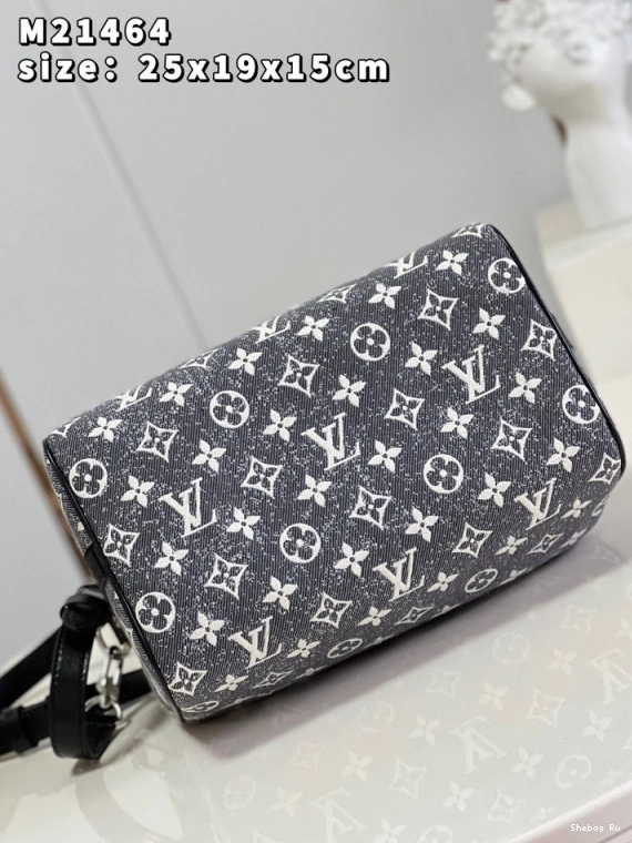 25 BANDOULIÈRE SPEEDY LOUIS VUITTON 0807